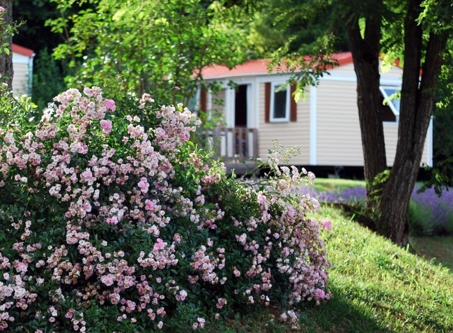 Le Temps de Vivre Aquitania - Salignac Eyvigues visuel 4/10 Le Temps de Vivre Aquitania - Salignac Eyvigues visuel 4/10