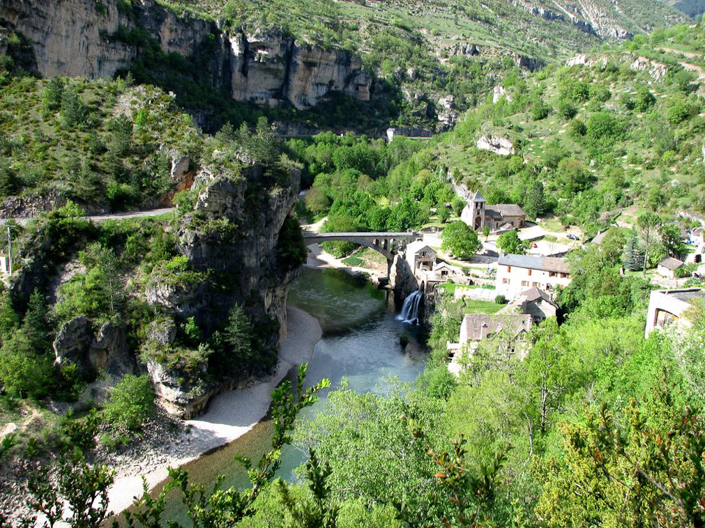 Le Terrados Linguadoca-Rossiglione - Les Vignes visuel 2/10