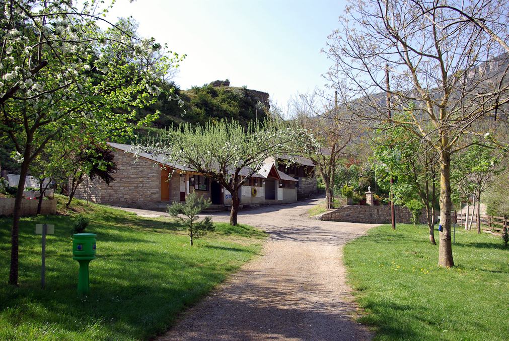 Le Terrados Linguadoca-Rossiglione - Les Vignes visuel 6/10