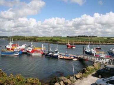 Le Tromeur Bretagna - Lanildut visuel 5/10