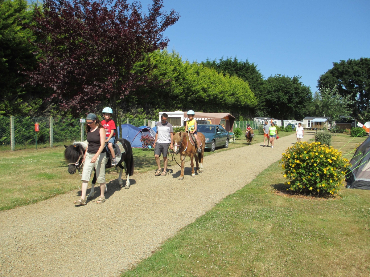 Le Varquez-sur-Mer Bretagna - Plouha visuel 6/9 Le Varquez-sur-Mer Bretagna - Plouha visuel 6/9