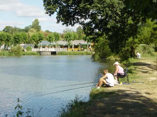 Le Vieux Chêne Bretagna - Dol-de-Bretagne visuel 9/11