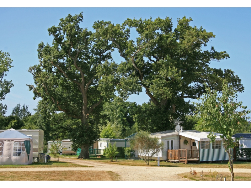 Le Village de Florine Paesi della Loira - Coëx visuel 6/11 Le Village de Florine Paesi della Loira - Coëx visuel 6/11