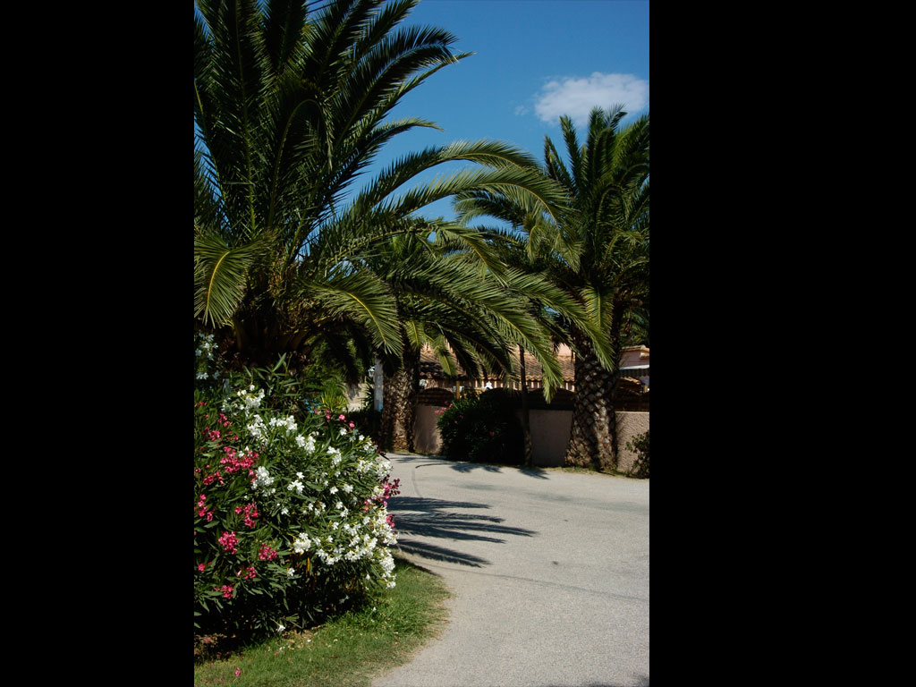 Le Village Del Mar Linguadoca-Rossiglione - Argelès-sur-Mer visuel 7/11 Le Village Del Mar Linguadoca-Rossiglione - Argelès-sur-Mer visuel 7/11