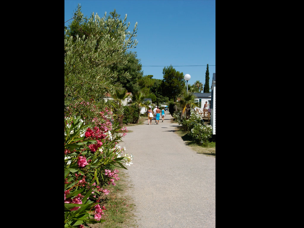 Le Village Del Mar Linguadoca-Rossiglione - Argelès-sur-Mer visuel 8/11 Le Village Del Mar Linguadoca-Rossiglione - Argelès-sur-Mer visuel 8/11