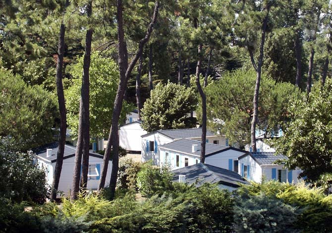 Le Village Océanique Poitou-Charentes - Le Bois-Plage-en-Ré visuel 3/7