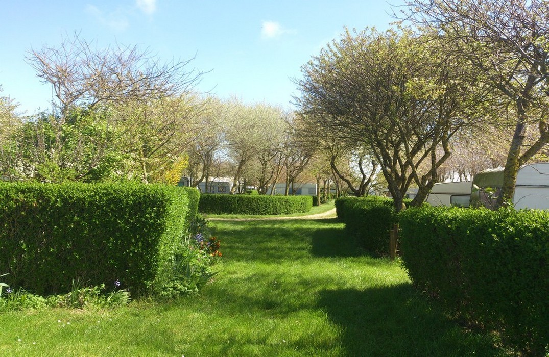 Le Voyeul Piccardia - Cayeux-sur-Mer visuel 1/1 Le Voyeul Piccardia - Cayeux-sur-Mer visuel 1/1