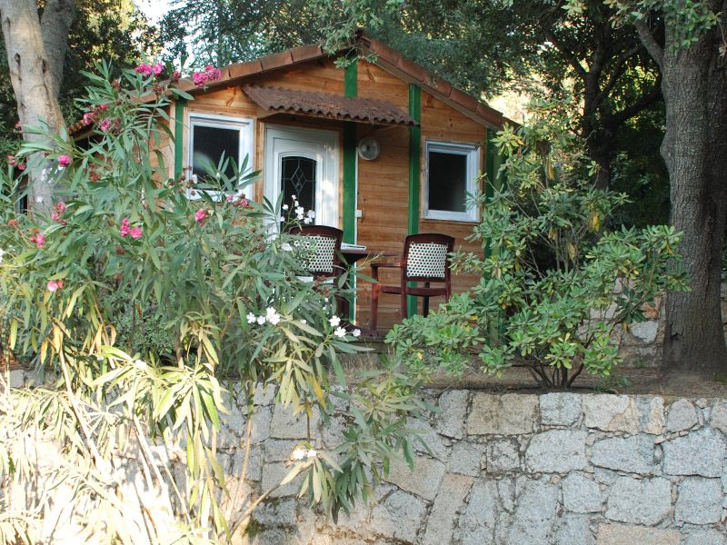 Lecci e Murta Corsica - Belvédère-Campomoro visuel 3/7