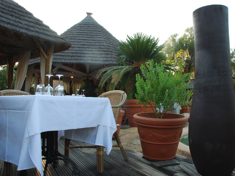 Lecci e Murta Corsica - Belvédère-Campomoro visuel 4/7