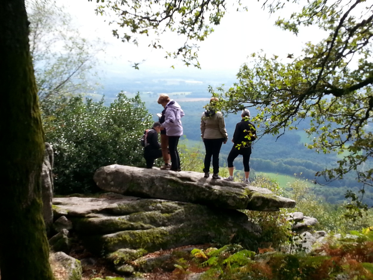l'Ecrin Nature Limosino - Ambazac visuel 2/10