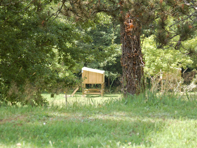 l'Ecrin Nature Limosino - Ambazac visuel 9/10