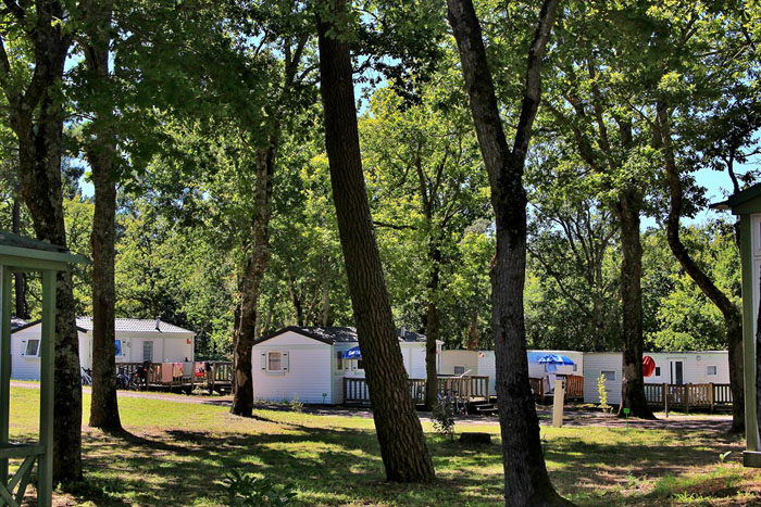 L'Ecureuil Poitou-Charentes - Saint-Augustin visuel 11/11