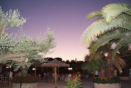 Leï Suves Provenza-Alpi-Costa Azzurra - Roquebrune-sur Argens visuel 4/10