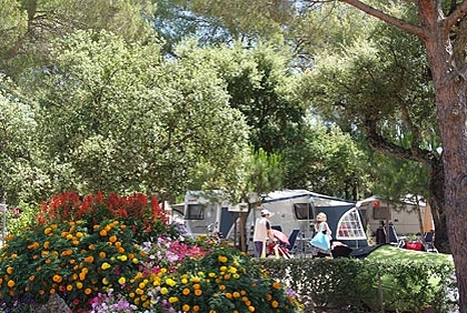 Leï Suves Provenza-Alpi-Costa Azzurra - Roquebrune-sur Argens visuel 9/10