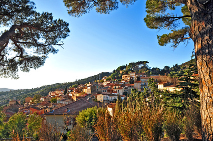 Lei Suves Provenza-Alpi-Costa Azzurra - Le Lavandou visuel 1/1