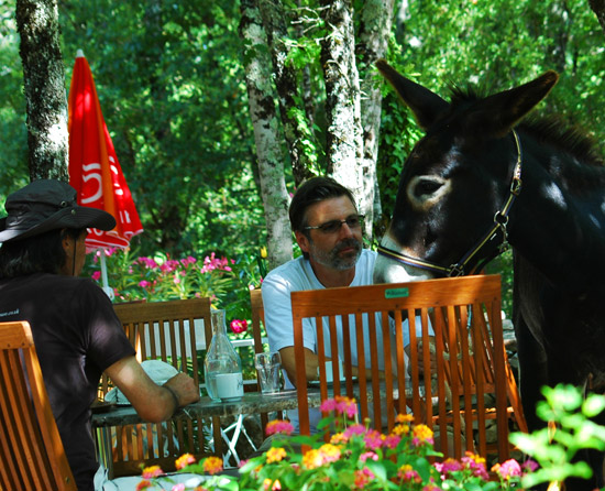 Les 3 Cantons Midi-Pirenei - Saint-Antonin-Noble-Val visuel 10/10 Les 3 Cantons Midi-Pirenei - Saint-Antonin-Noble-Val visuel 10/10