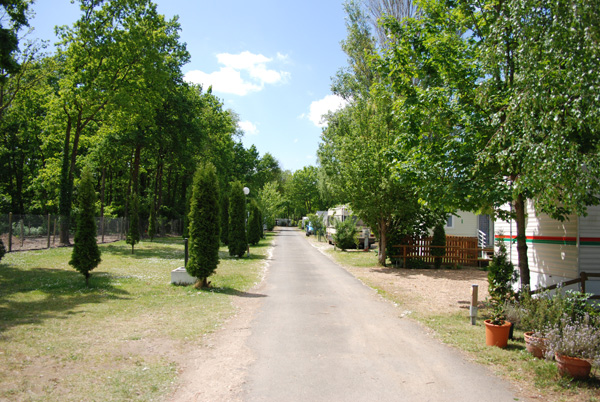 Les Acacias Centro-Valle della Loira - La Ville-aux-Dames visuel 8/10 Les Acacias Centro-Valle della Loira - La Ville-aux-Dames visuel 8/10