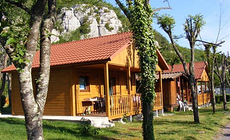 Les Actinidias Rodano-Alpi - Berrias et Casteljau visuel 2/6