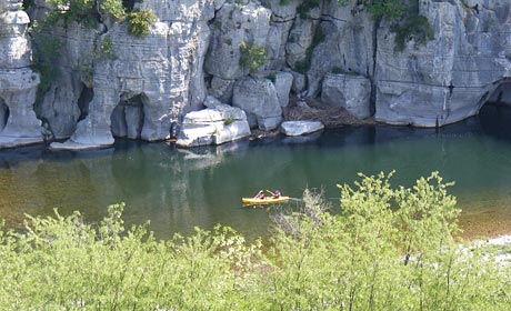 Les Actinidias Rodano-Alpi - Berrias et Casteljau visuel 3/6