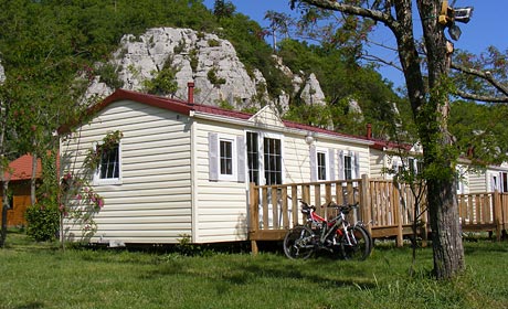 Les Actinidias Rodano-Alpi - Berrias et Casteljau visuel 4/6