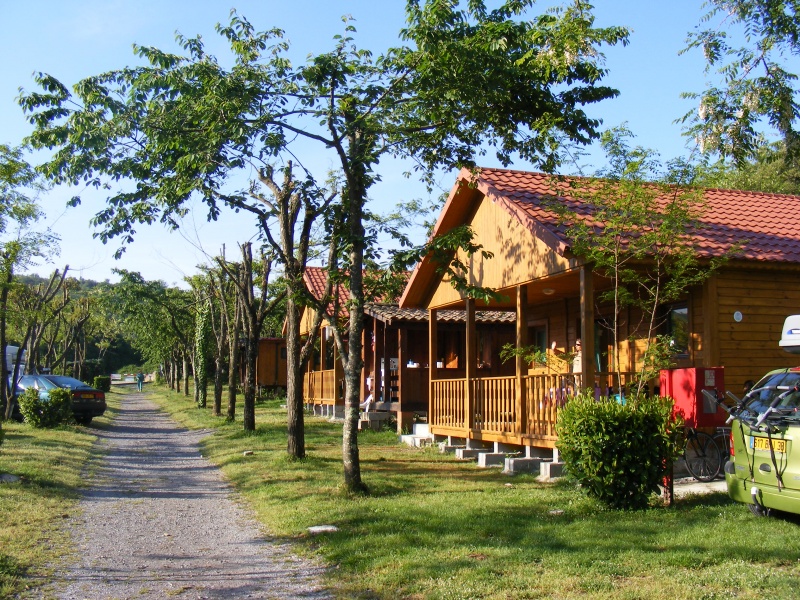 Les Actinidias Rodano-Alpi - Berrias et Casteljau visuel 5/6