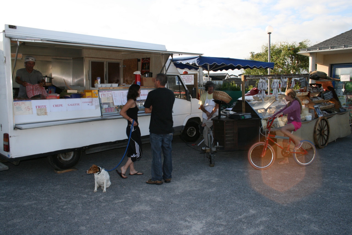 Les Ajoncs d'Or Bretagna - Damgan visuel 1/1 Les Ajoncs d'Or Bretagna - Damgan visuel 1/1