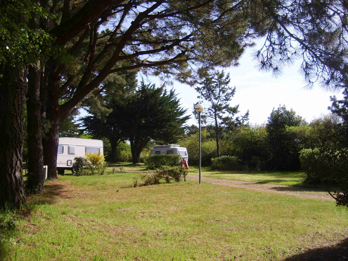 Les Ajoncs d'Or Paesi della Loira - La Baule-Escoublac visuel 19/42