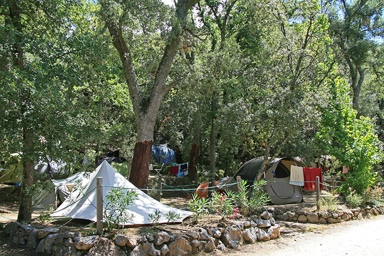 Les Albères Linguadoca-Rossiglione - Laroque-des-Albères visuel 18/31 Les Albères Linguadoca-Rossiglione - Laroque-des-Albères visuel 18/31