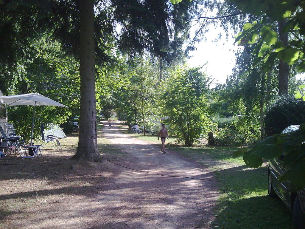 Les Araucarias Piccardia - Carlepont visuel 1/1 Les Araucarias Piccardia - Carlepont visuel 1/1