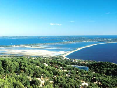 Les Arbousiers Provenza-Alpi-Costa Azzurra - Carqueiranne visuel 2/9