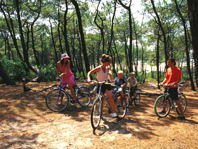 Les Arbousiers Provenza-Alpi-Costa Azzurra - Carqueiranne visuel 5/9