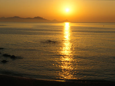 Les Arbousiers Provenza-Alpi-Costa Azzurra - Carqueiranne visuel 9/9