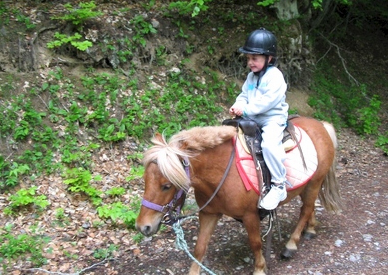 Les Auches Provenza-Alpi-Costa Azzurra - Ancelle visuel 5/11 Les Auches Provenza-Alpi-Costa Azzurra - Ancelle visuel 5/11