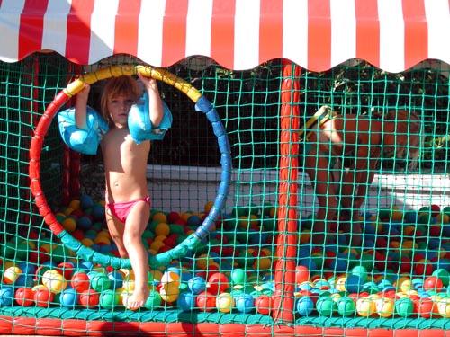 Les Bois du Bardelet Centro-Valle della Loira - Gien visuel 10/10 Les Bois du Bardelet Centro-Valle della Loira - Gien visuel 10/10