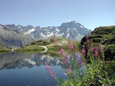 Les Bonnets Provenza-Alpi-Costa Azzurra - Neffes visuel 7/9 Les Bonnets Provenza-Alpi-Costa Azzurra - Neffes visuel 7/9