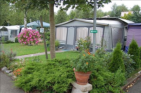 Les Bouleaux Alsazia - Ranspach visuel 3/10 Les Bouleaux Alsazia - Ranspach visuel 3/10