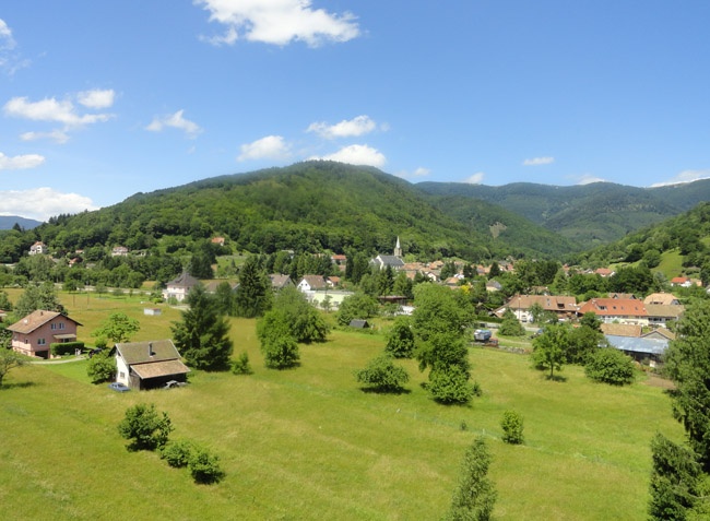 Les Bouleaux Alsazia - Ranspach visuel 10/10 Les Bouleaux Alsazia - Ranspach visuel 10/10