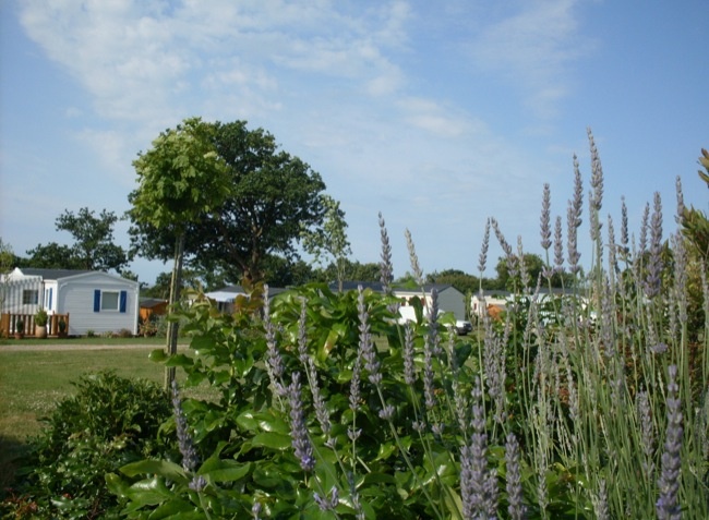 Les Brillas Paesi della Loira - Les Moutiers en Retz visuel 14/16 Les Brillas Paesi della Loira - Les Moutiers en Retz visuel 14/16