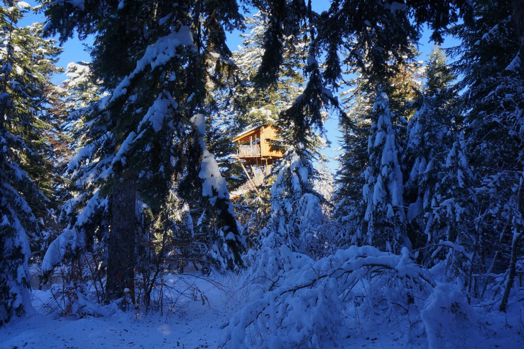 Les Cabanes des Volcans Alvernia - La Tour-d'Auvergne visuel 6/10