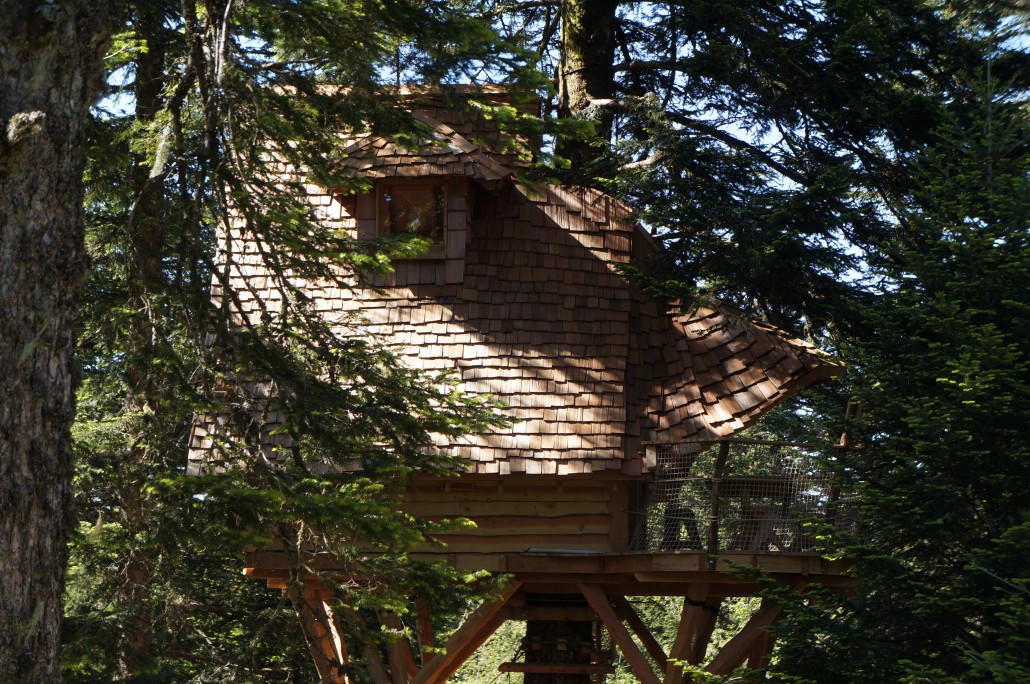 Les Cabanes des Volcans Alvernia - La Tour-d'Auvergne visuel 8/10