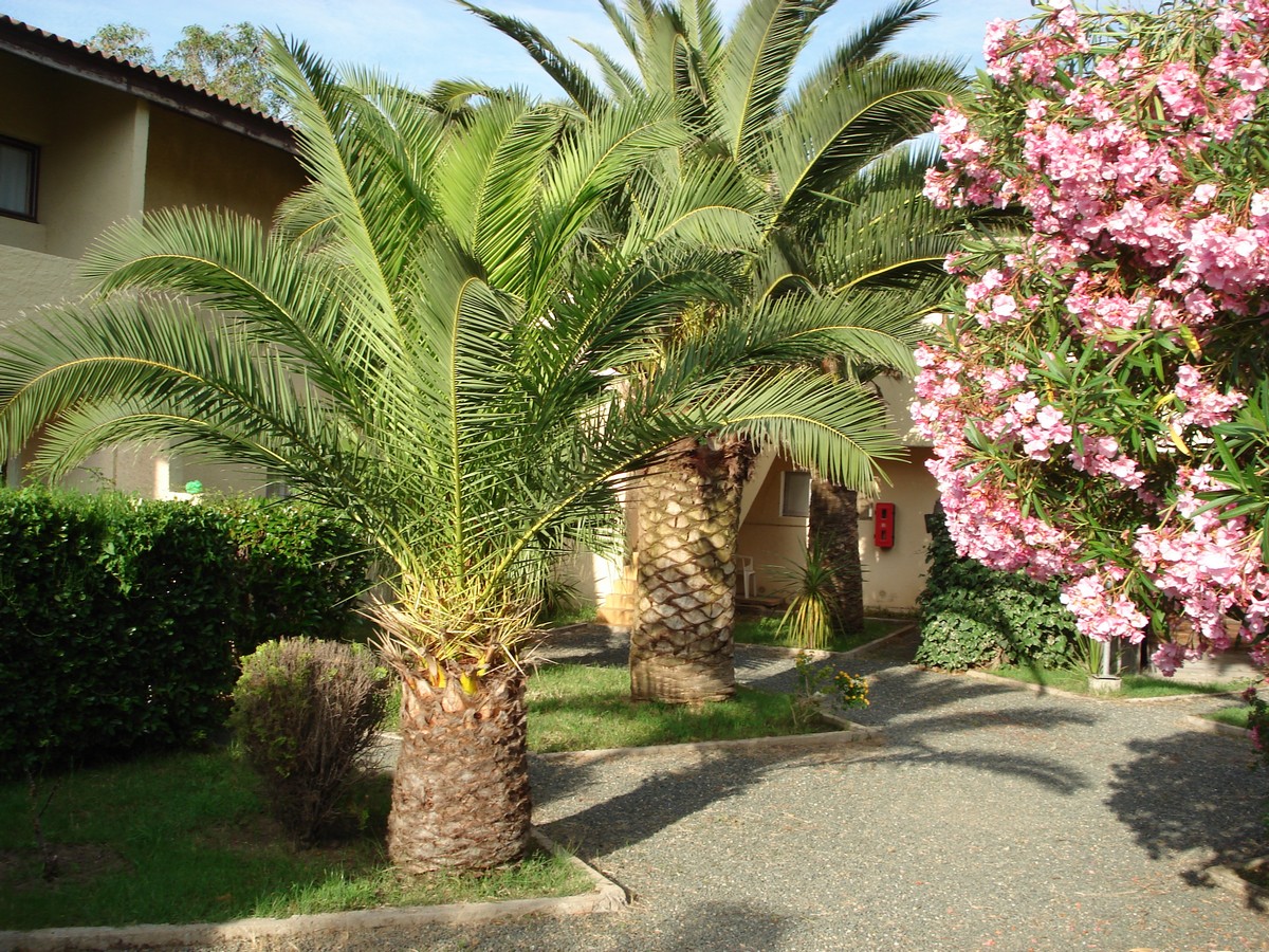 Les Castors Corsica - Calvi visuel 7/10