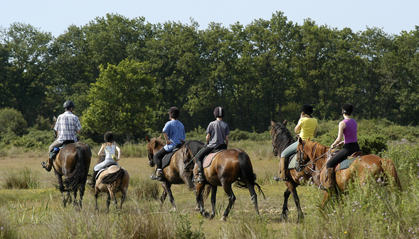 Les Catalpas Aquitania - Fumel visuel 4/9