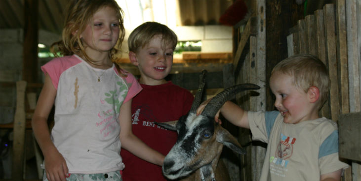 Les Catoyes Provenza-Alpi-Costa Azzurra - Sainte-Colombe visuel 7/7 Les Catoyes Provenza-Alpi-Costa Azzurra - Sainte-Colombe visuel 7/7