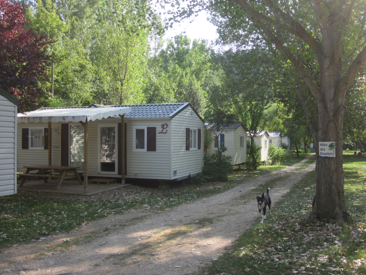 Les Cerisiers Linguadoca-Rossiglione - Ispagnac visuel 1/2