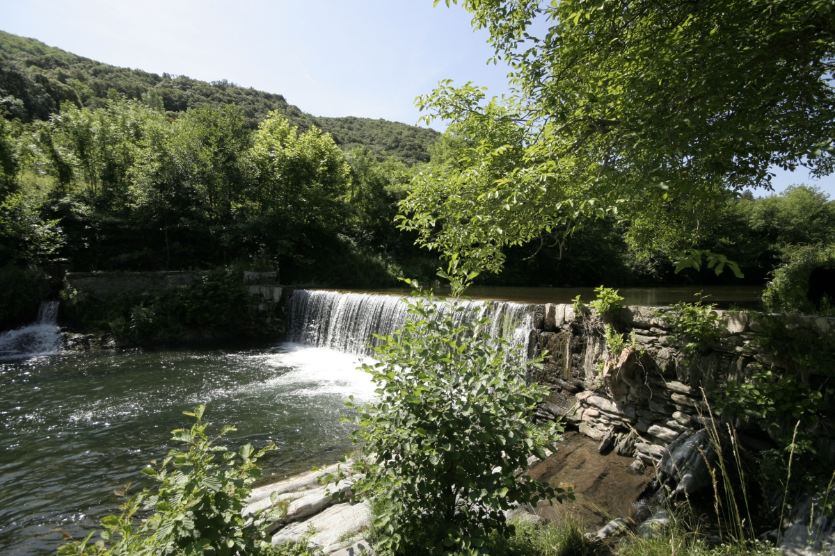 Les Cerisiers du Jaur Linguadoca-Rossiglione - Saint-Pons de Thomières visuel 3/9 Les Cerisiers du Jaur Linguadoca-Rossiglione - Saint-Pons de Thomières visuel 3/9