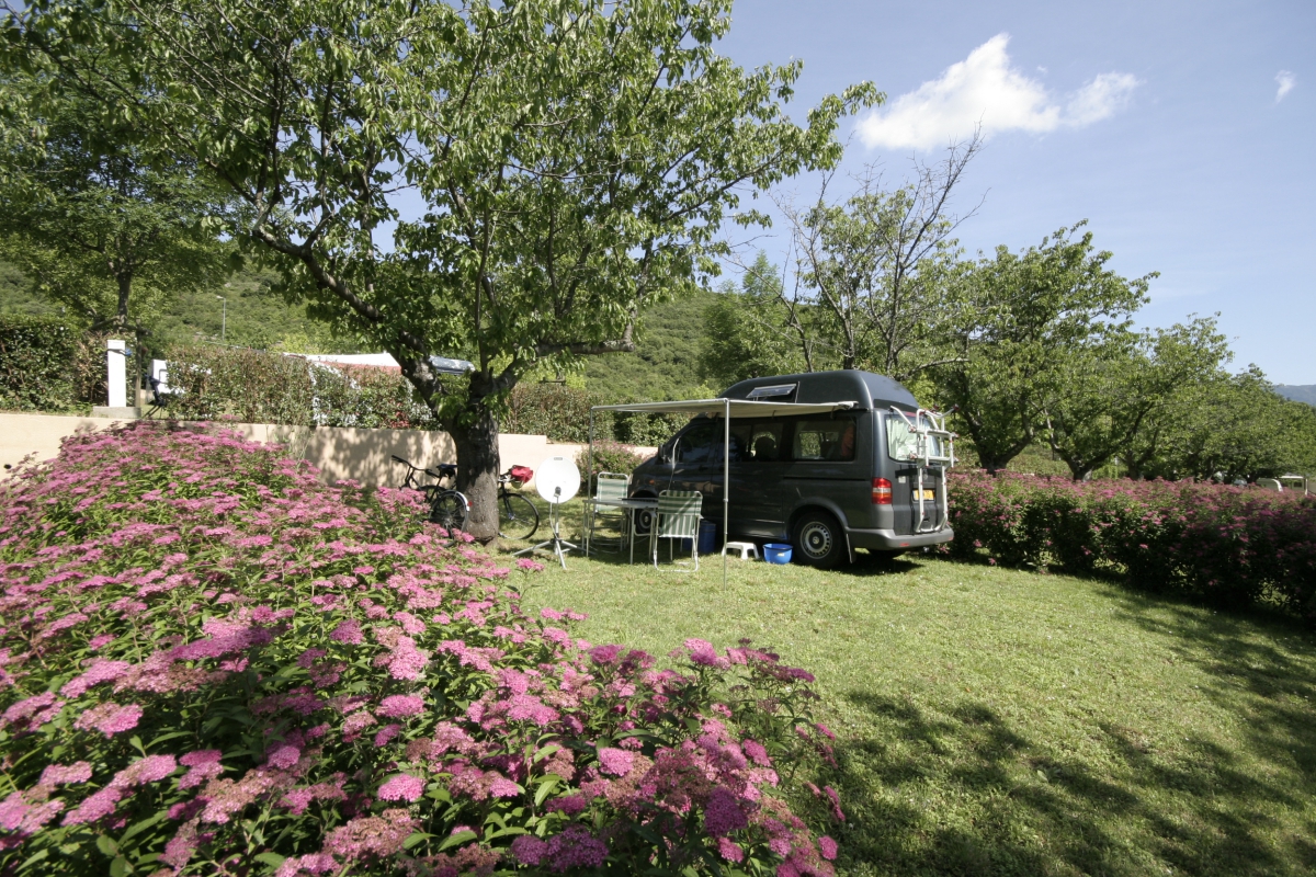 Les Cerisiers du Jaur Linguadoca-Rossiglione - Saint-Pons de Thomières visuel 4/9 Les Cerisiers du Jaur Linguadoca-Rossiglione - Saint-Pons de Thomières visuel 4/9