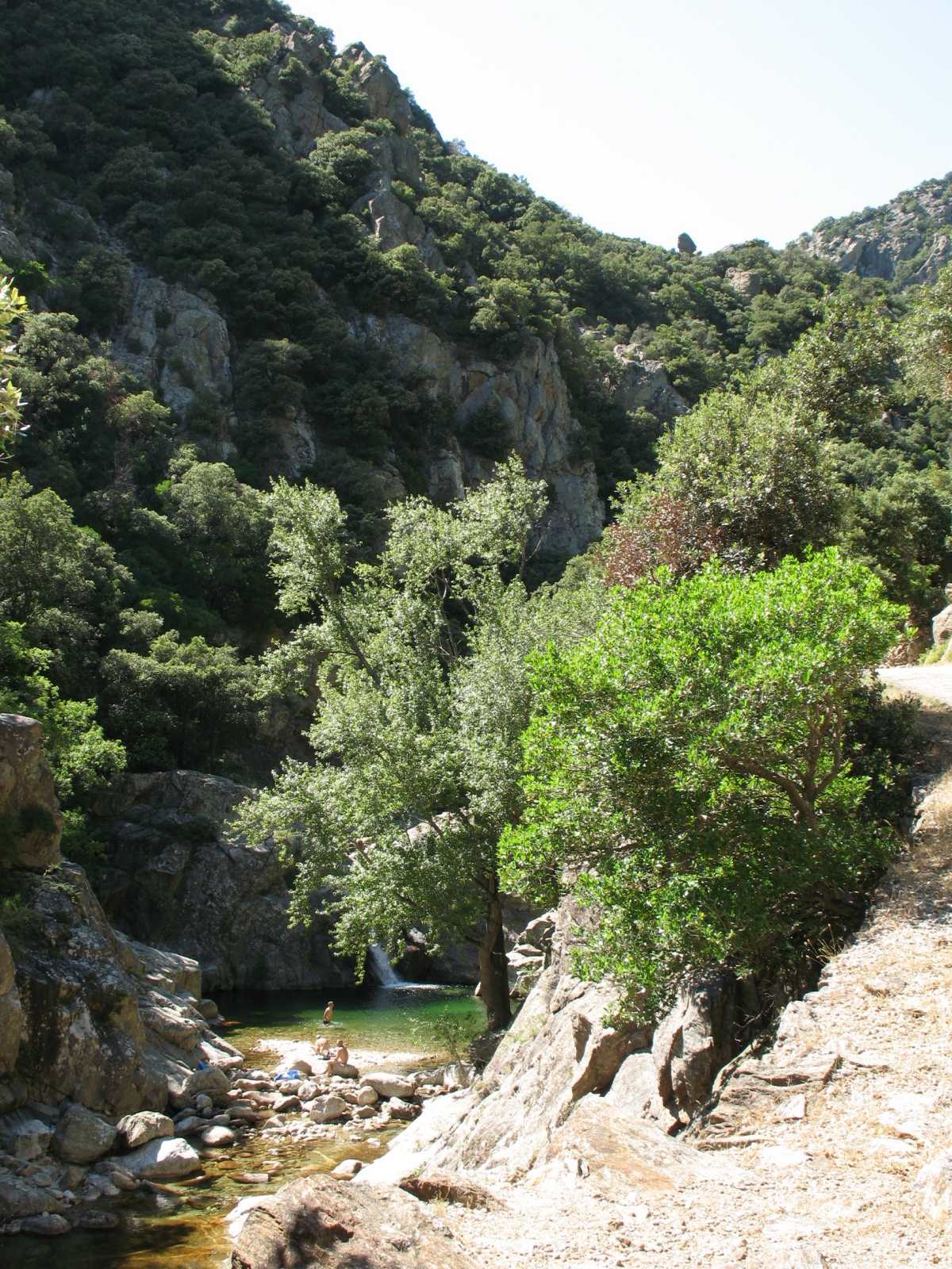 Les Cerisiers du Jaur Linguadoca-Rossiglione - Saint-Pons de Thomières visuel 5/9 Les Cerisiers du Jaur Linguadoca-Rossiglione - Saint-Pons de Thomières visuel 5/9
