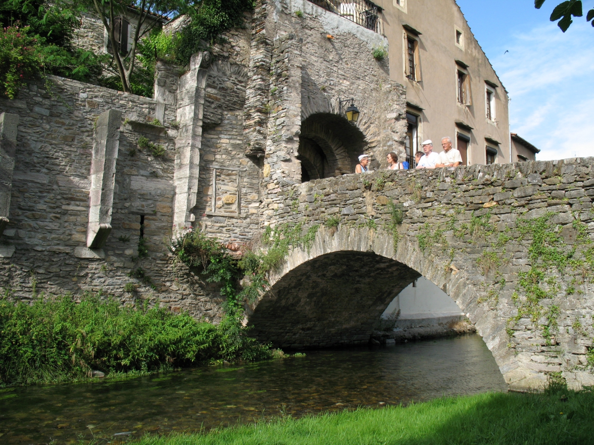 Les Cerisiers du Jaur Linguadoca-Rossiglione - Saint-Pons de Thomières visuel 8/9 Les Cerisiers du Jaur Linguadoca-Rossiglione - Saint-Pons de Thomières visuel 8/9