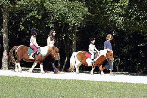 Les Chalets de la Héronnière Poitou-Charentes - Chef-Boutonne visuel 4/10