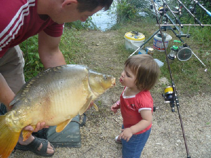 Les Chalets de la Héronnière Poitou-Charentes - Chef-Boutonne visuel 9/10